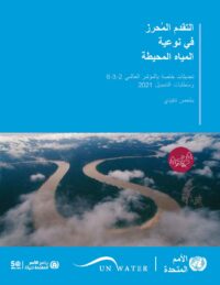 الصفحة الأولى من الملخص التنفيذي لتقرير عام 2021 بشأن الهدف 6.3.2 من أهداف التنمية المستدامة
