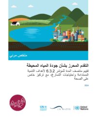 الصفحة الأولى من الملخص المرئي لتقرير عام 2024 بشأن الهدف 6.3.2 من أهداف التنمية المستدامة