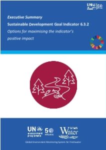 front page of the executive summary of the feedback report on the 2021 reporting cycle for SDG 6.3.2