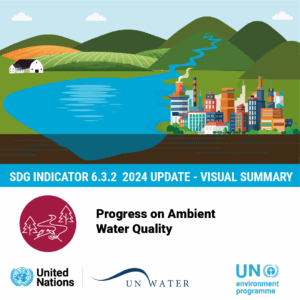 front page of the visual summary on the 2024 report on SDG 6.3.2